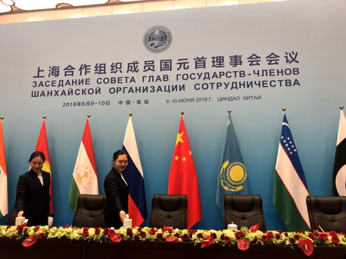 主場外交活動再現 中國會展服務